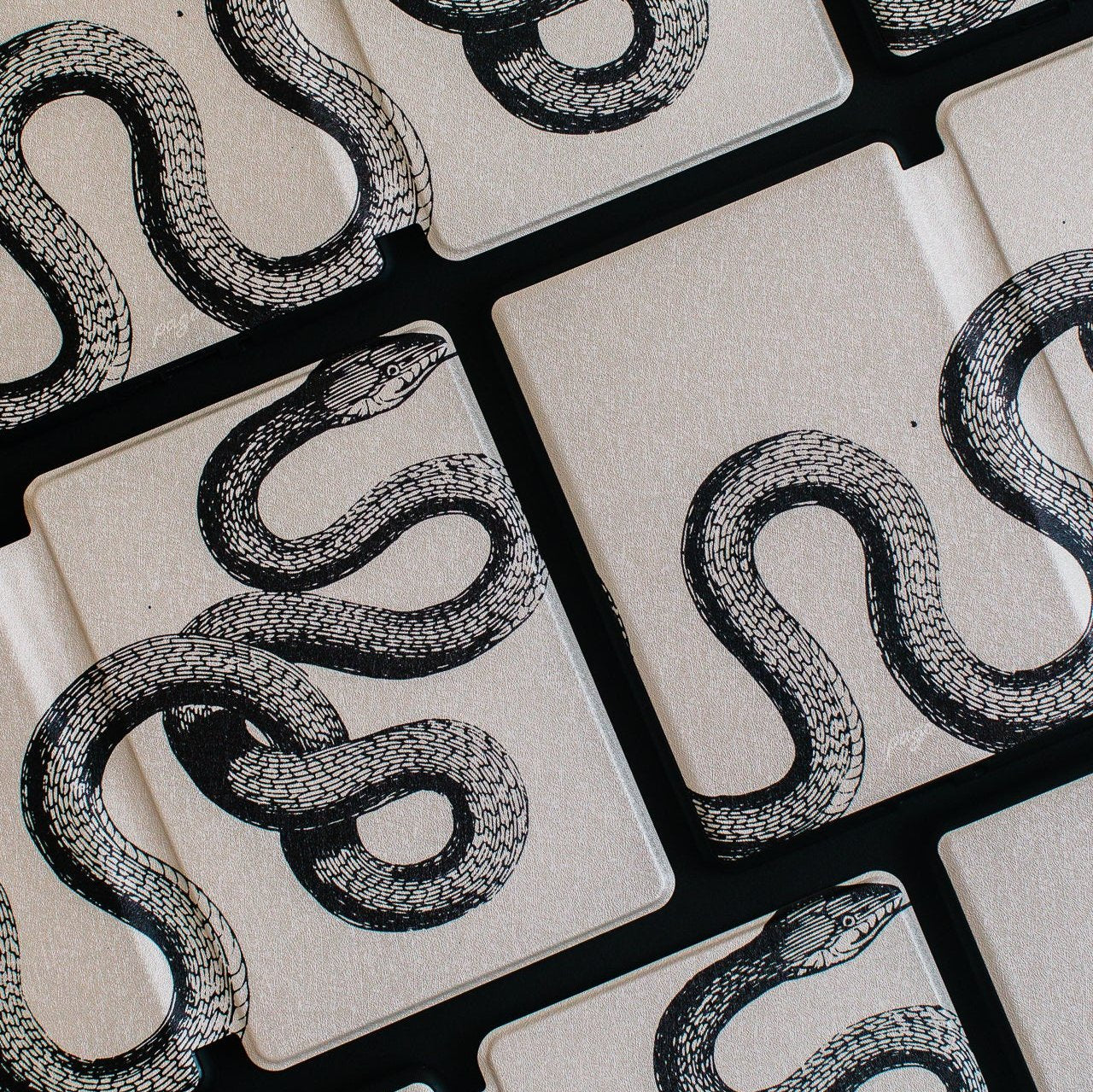 National Snake Day • Kindle Case